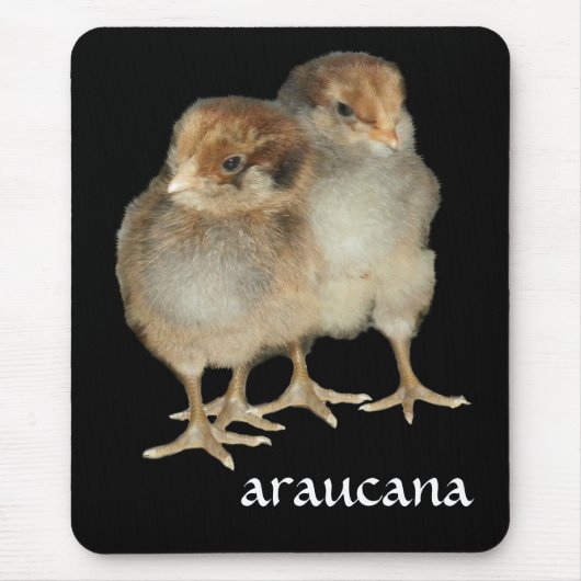 Tapis De Souris Oiseaux d'ornithologie de poulets d'araucana de (Devant)