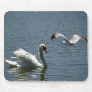 Tapis De Souris Oiseaux et cygnes au-dessus du lac Morton