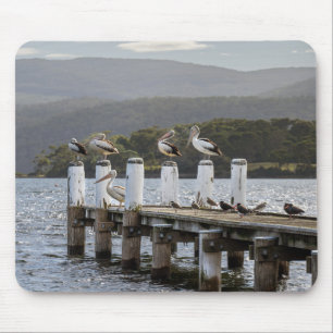 Tapis De Souris Oiseaux, Pélicans, Baie Carnarvon