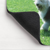 Tapis De Souris Old English Sheep (Coin)