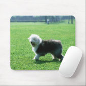 Tapis De Souris Old English Sheep (Avec souris)