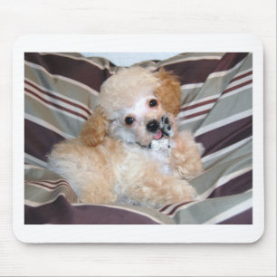 Tapis De Souris Ondulation parlante de chiot de caniche d'abricot