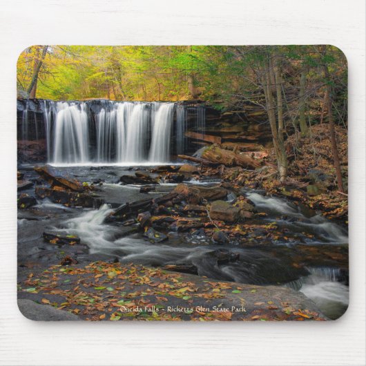 Tapis De Souris Oneida Falls (Devant)