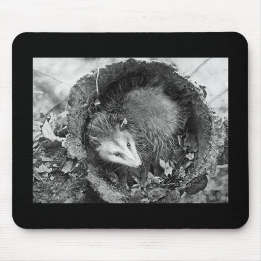 Tapis De Souris Opossum (Devant)
