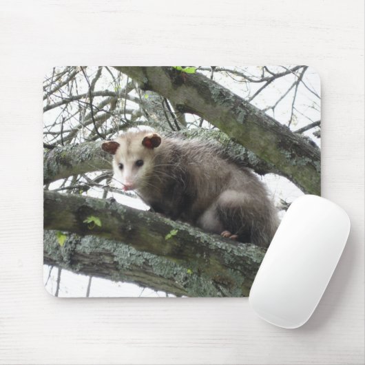 Tapis De Souris Opossum dans un arbre (Avec souris)