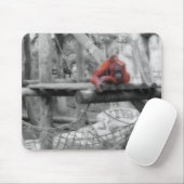 Tapis De Souris Orang-outan de mère et de bébé (Avec souris)