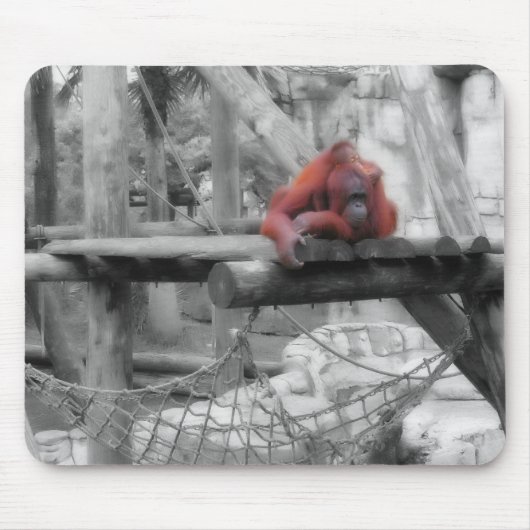 Tapis De Souris Orang-outan de mère et de bébé (Devant)