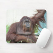 Tapis De Souris Orang-outan Mousepad (Avec souris)