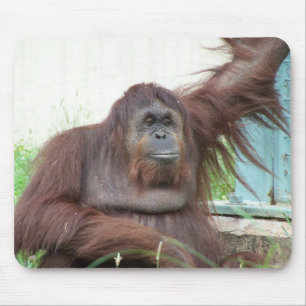 Tapis De Souris Orang-outan Mousepad