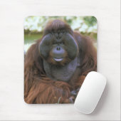 Tapis De Souris Orang-outan Pongo Pygmaeus (Avec souris)