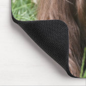 Tapis De Souris Orang Utan Lady (Coin)
