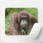 Tapis De Souris Orang Utan Lady (Avec souris)