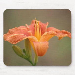 Tapis De Souris Orange asiatische Lilie