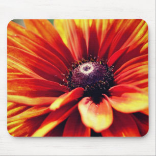 Tapis De Souris Orange Black Eyed Susan Daisy Flower