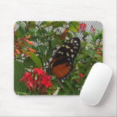TAPIS DE SOURIS ORANGE BUTTERFLY (Avec souris)