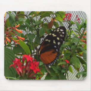 TAPIS DE SOURIS ORANGE BUTTERFLY