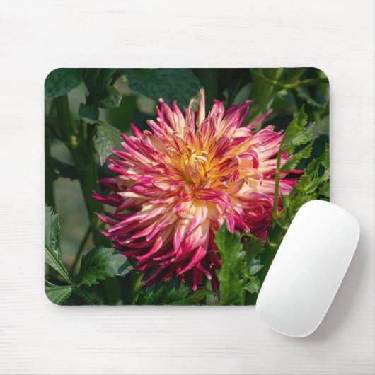Tapis De Souris Orange Chrysanthemum Photographie, Fleur canadienn (Avec souris)