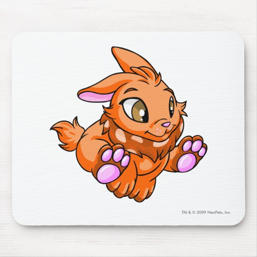 Tapis De Souris Orange de Cybunny (Devant)
