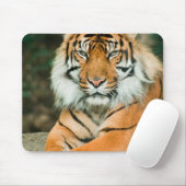 Tapis de souris orange de tigre (Avec souris)