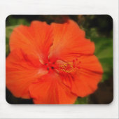Tapis De Souris Orange Hibiscus Fleur Mousepad (Devant)