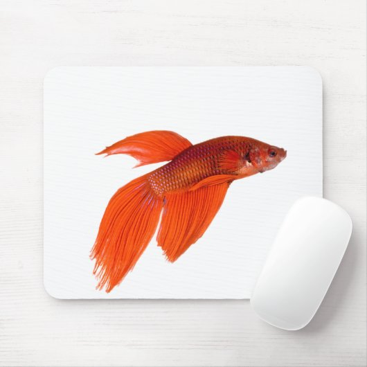 Tapis De Souris Orange Japonais combattant le poisson Betta Siames (Avec souris)