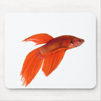 Tapis De Souris Orange Japonais combattant le poisson Betta Siames