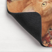 Tapis De Souris Orange Tabby (Coin)