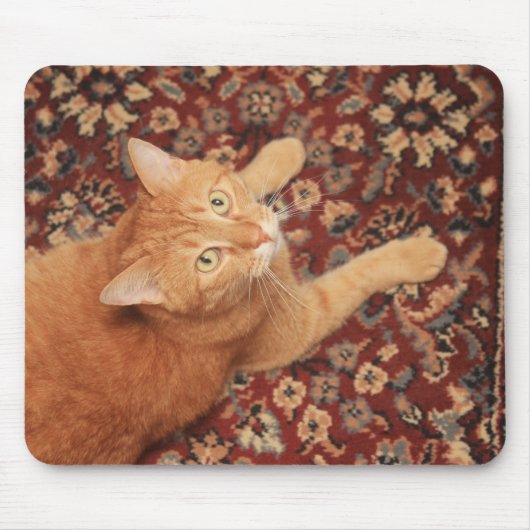 Tapis De Souris Orange Tabby (Devant)