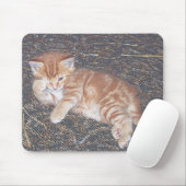 Tapis De Souris Orange Tabby Kitten (Avec souris)