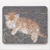 Tapis De Souris Orange Tabby Kitten (Devant)