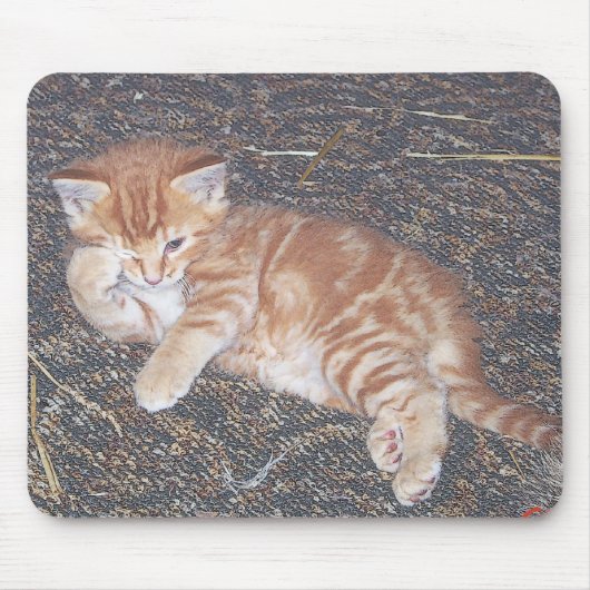 Tapis De Souris Orange Tabby Kitten (Devant)