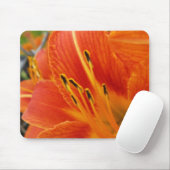 Tapis De Souris orange vif (Avec souris)