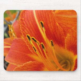 Tapis De Souris orange vif