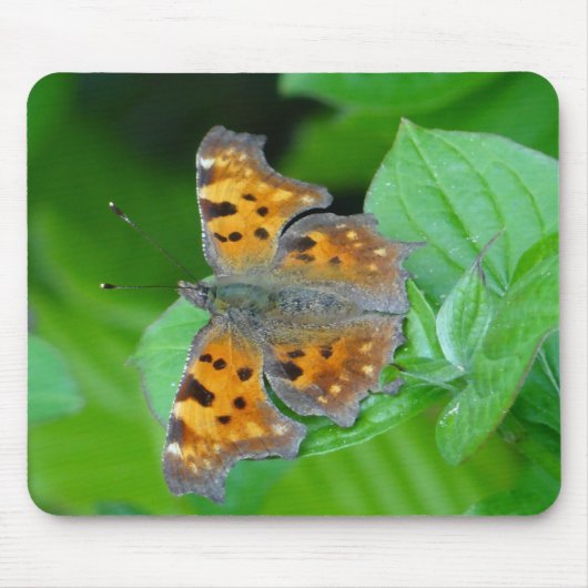 Tapis De Souris Oranger Schmetterling (Devant)