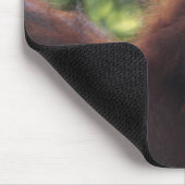Tapis De Souris Orangutan (Coin)