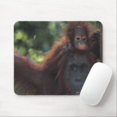 Tapis De Souris Orangutan (Avec souris)