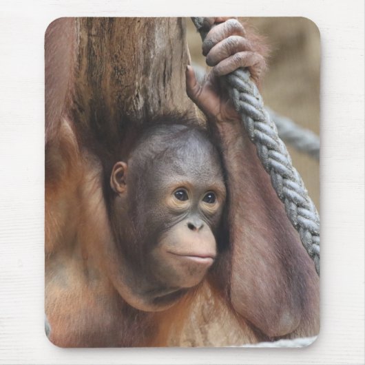 Tapis De Souris OrangUtan 002 (Devant)