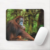 Tapis De Souris Orangutan & Forêt-Rainforest Wildlife support Mous (Avec souris)