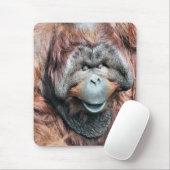 TAPIS DE SOURIS ORANGUTANS (Avec souris)