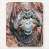 TAPIS DE SOURIS ORANGUTANS (Devant)