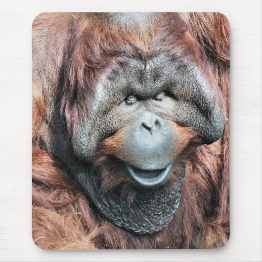 TAPIS DE SOURIS ORANGUTANS (Devant)