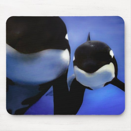 Tapis De Souris Orca (Devant)