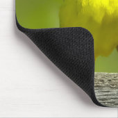 Tapis De Souris Orchard Oriole - Photo originale (Coin)