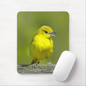 Tapis De Souris Orchard Oriole - Photo originale (Avec souris)