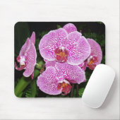 Tapis De Souris Orchid de Purple et White (Avec souris)