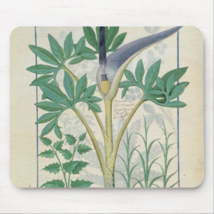Tapis De Souris Orchidée