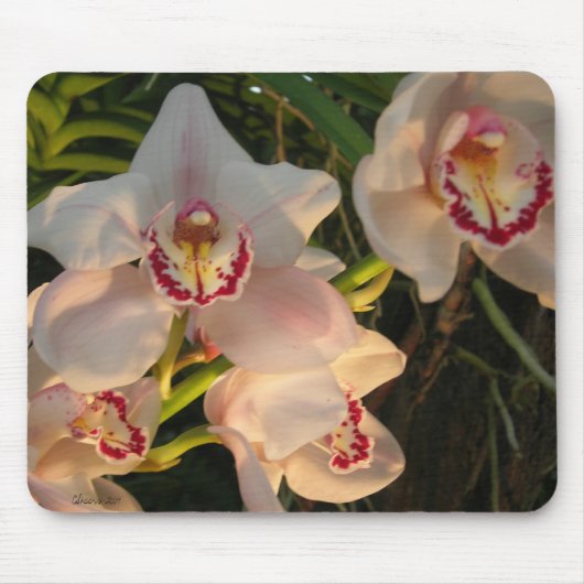Tapis De Souris Orchidée (Devant)