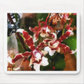 Tapis De Souris Orchidée (Devant)