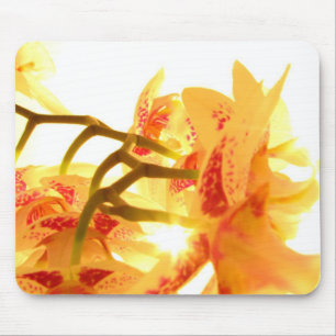 Tapis De Souris Orchidée