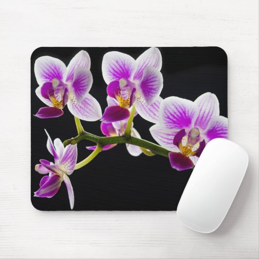 Tapis De Souris Orchidée blanche et violette (Avec souris)